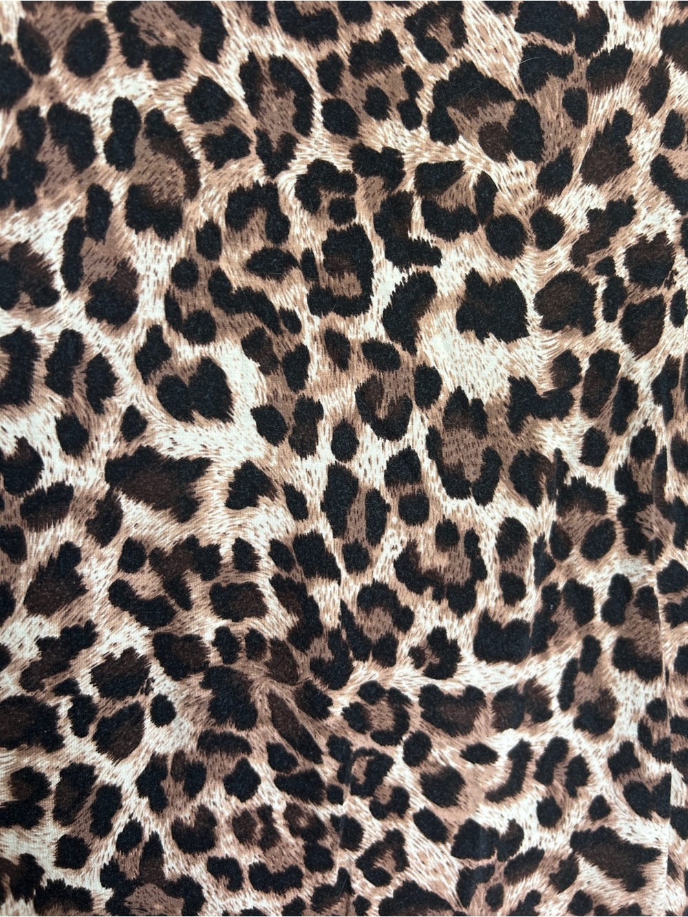 Larace Leopard Print Short Sleeve Tunic Top - Brown Animal Print - Picture 2 of 4